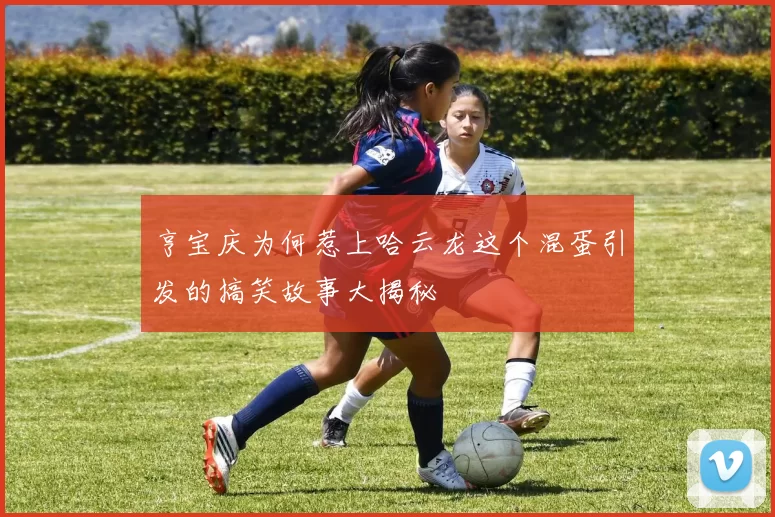 亨宝庆为何惹上哈云龙这个混蛋引发的搞笑故事大揭秘