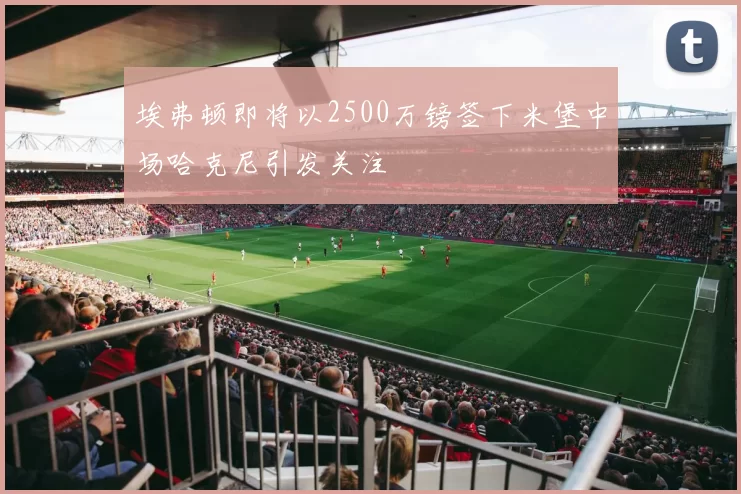 埃弗顿即将以2500万镑签下米堡中场哈克尼引发关注