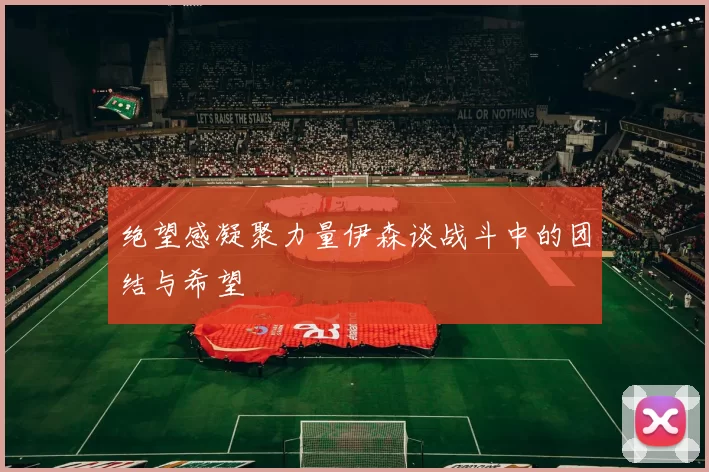 绝望感凝聚力量伊森谈战斗中的团结与希望
