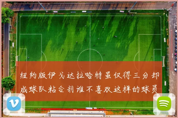 纽约版伊戈达拉哈特虽仅得三分却成球队粘合剂谁不喜欢这样的球员